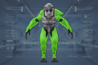 Limb Armor (8) front view