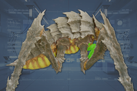 Claws (2) side view